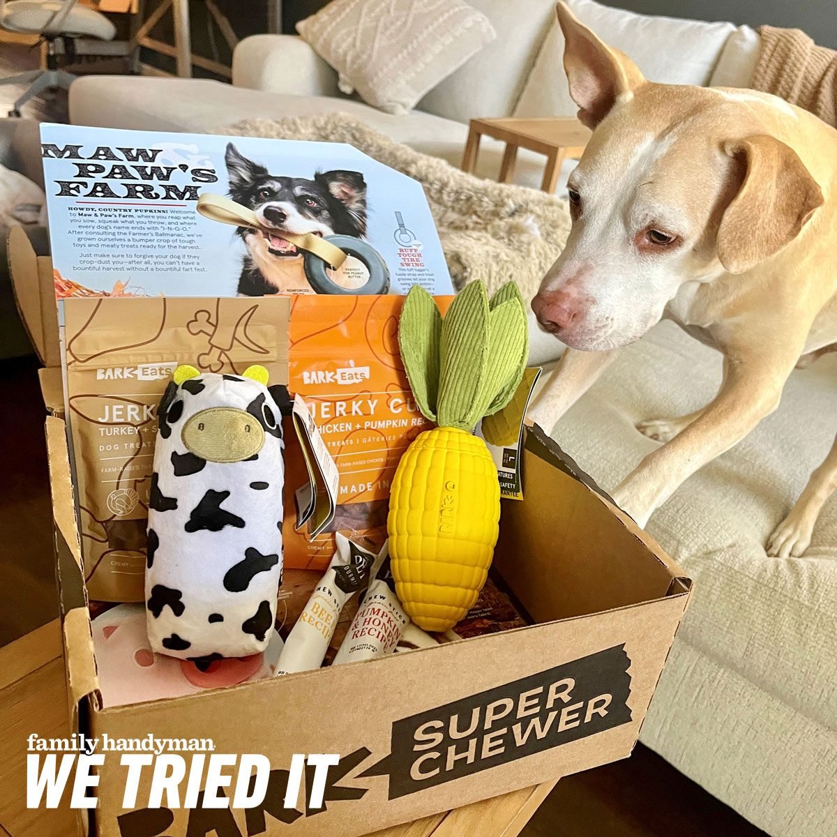 Barkbox Super Chewer Set with Dog