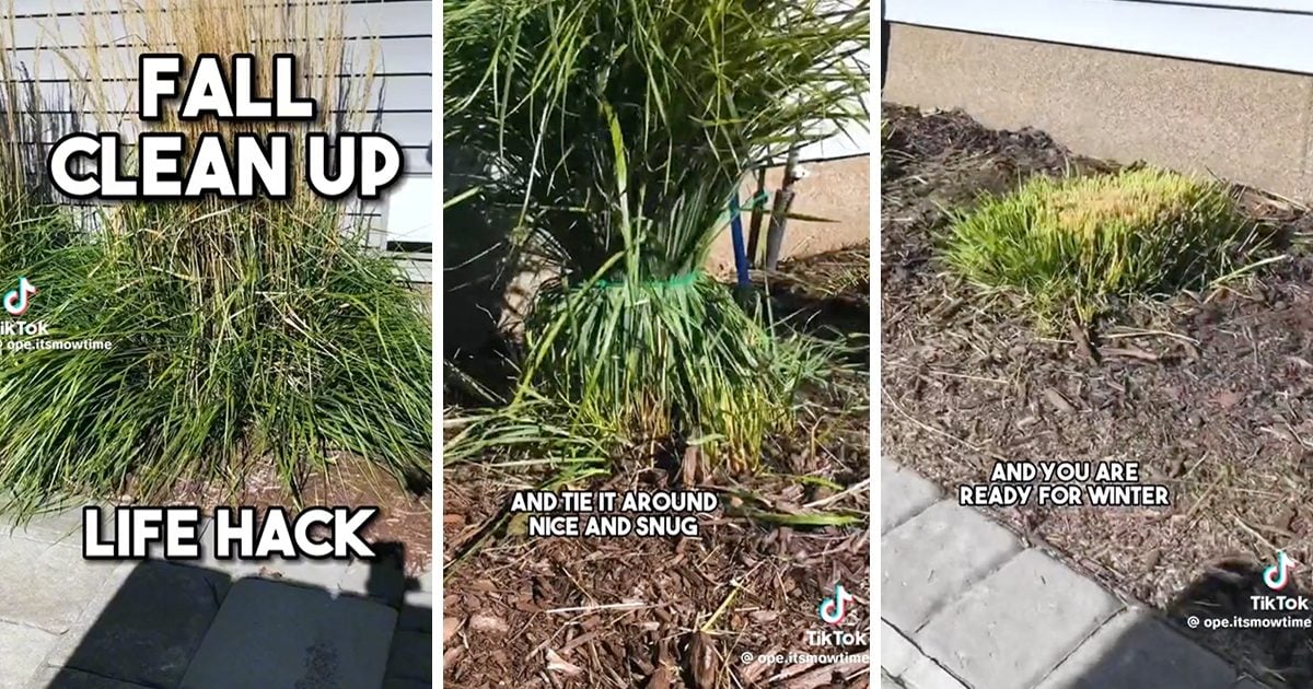 Ce hack de cravate zippée fera de la coupe des graminées ornementales un jeu d'enfant