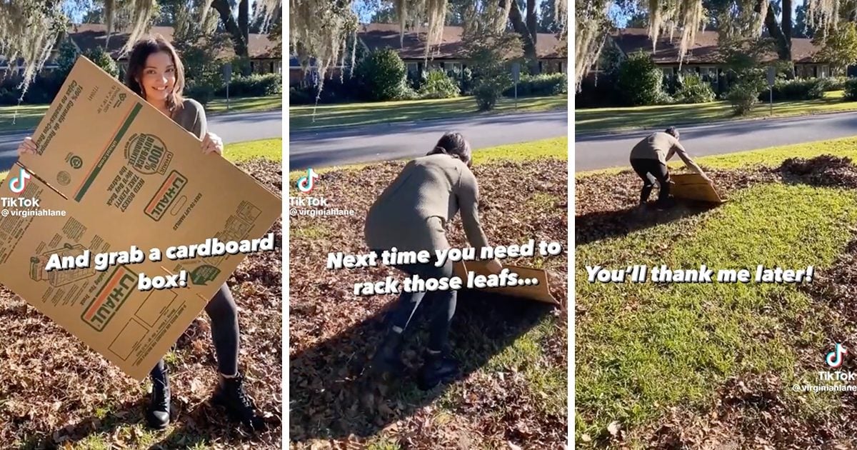 Il est temps d’enlever les feuilles ? Abandonnez votre râteau pour une boîte en carton