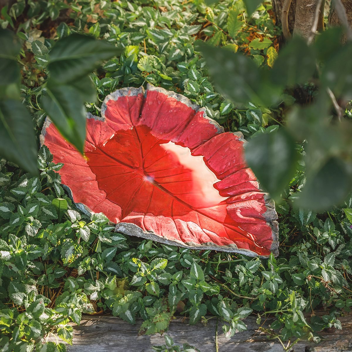 Tmb Studio Fhm Bird Bath Ef 12 14 23 81a7711b Ft Ss Edit