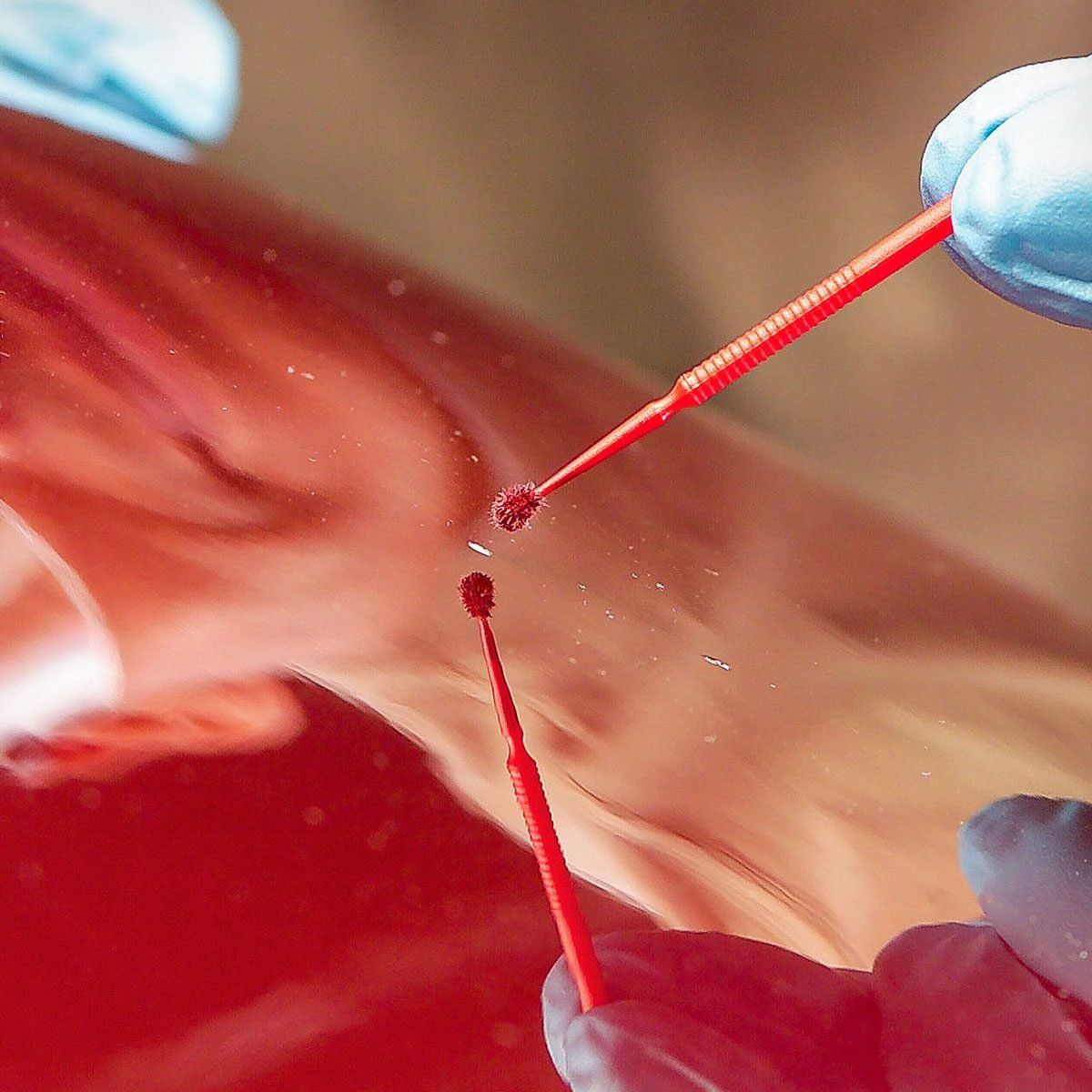 Touching Up Paint Chips with Micro Applicator