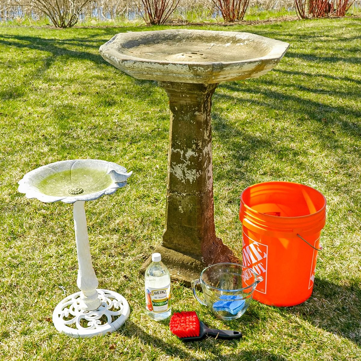 Birdbath and Cleaning Equipments