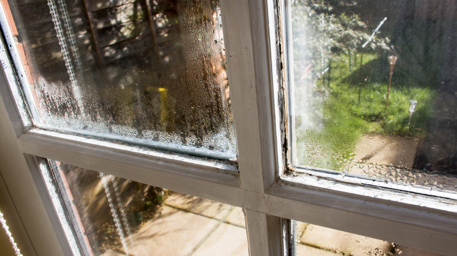 Les fenêtres de votre maison nuisent-elles à votre valeur de revente ? Voici ce que vous devez savoir