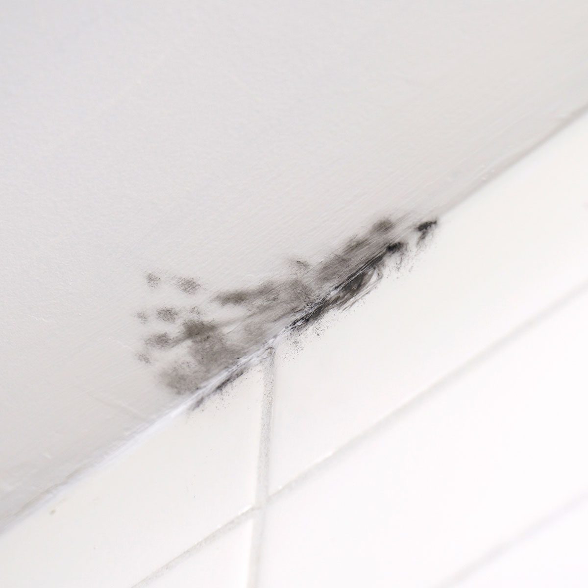 Clearing Mold Off Your Bathroom Ceiling: A Step-by-Step Guide