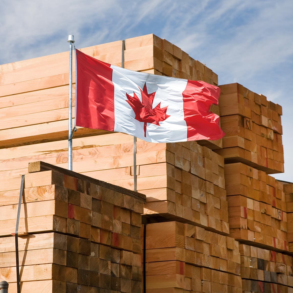 The Reason So Much of America’s Lumber Comes From Canada