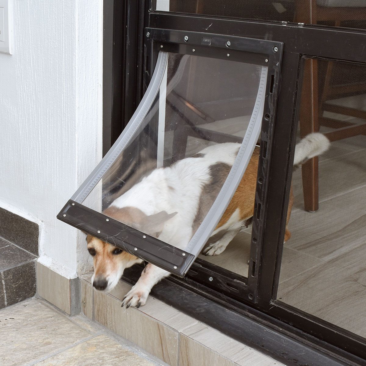Here’s How To Keep Your Home Secure If You Have a Doggy Door