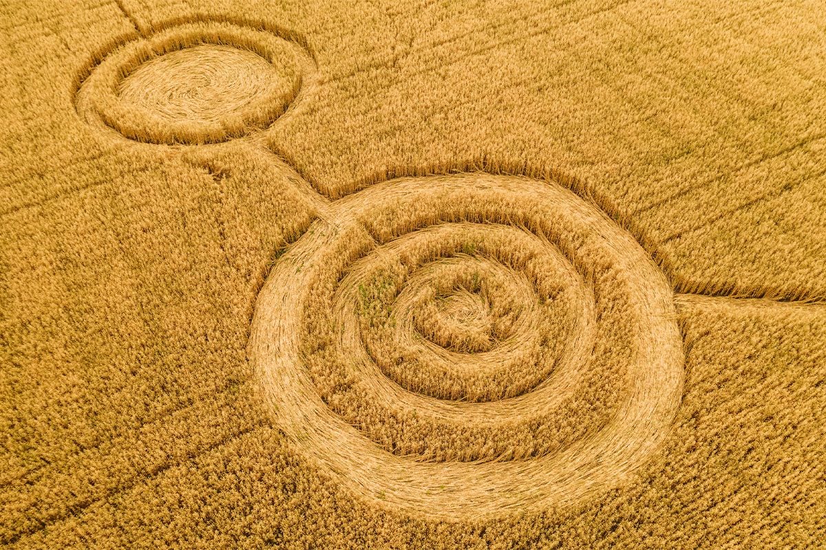 Why We See Crop Circles (And It Has Nothing to Do With Aliens)