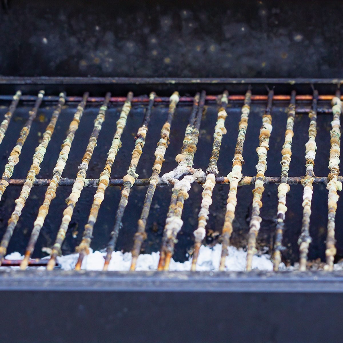 If You See Weird Green Stuff On Your Grill, Here’s What It Means