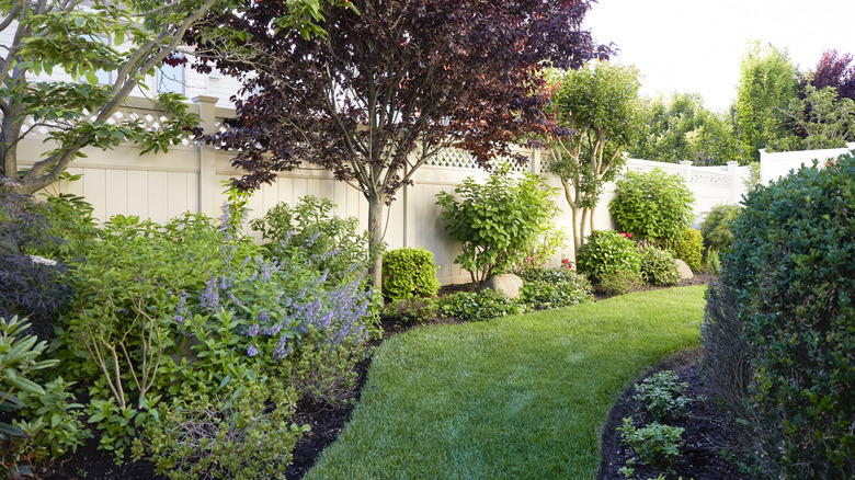 Ce paysage non classé comprend des arbres, des arbustes et une voie de gazon bien entretenue.