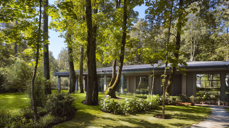 Une maison entourée d'arbres matures.