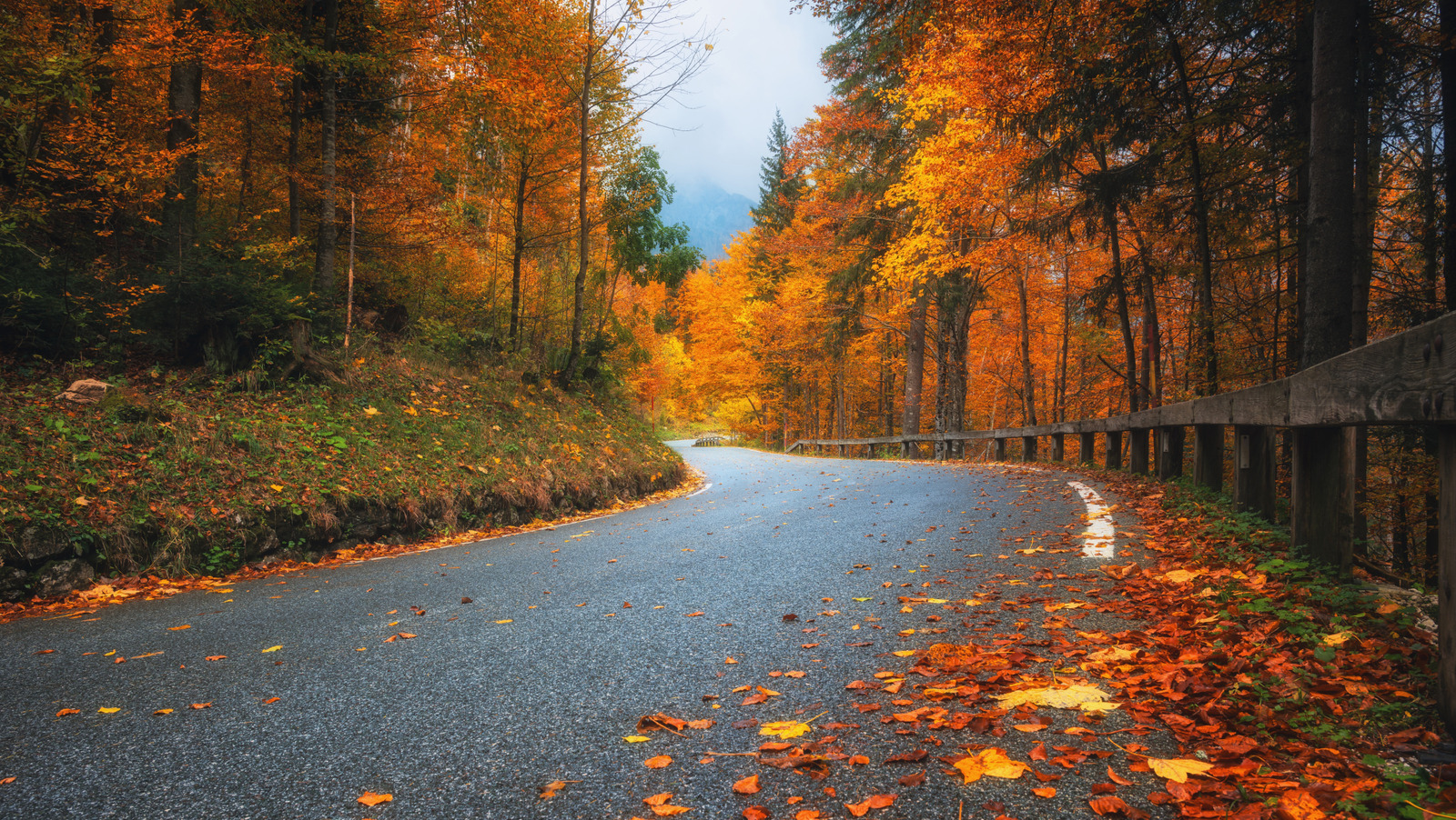Vous aimez l’automne ? C'est peut-être la meilleure région où vivre