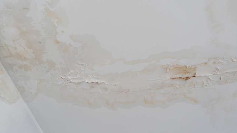 Plâtre fissuré et dégâts des eaux au plafond de la maison