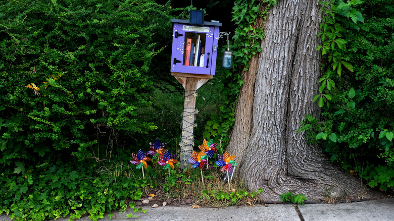 Une petite bibliothèque gratuite en bord de trottoir.