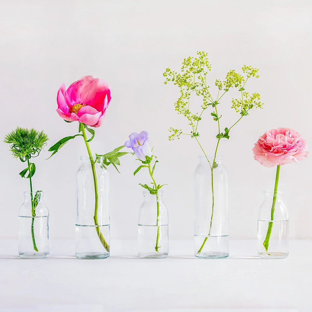 1-800-Flowers Bloom of the Year 2026 Will Be the Star of Your Next Centerpiece