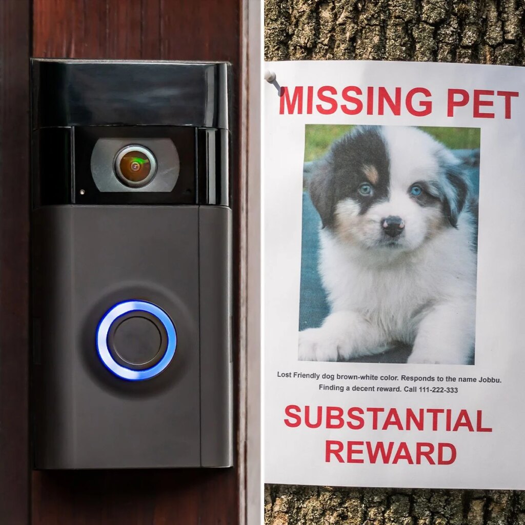 Ring Wants Your Help to Find Lost Dogs—But Is the Privacy Trade-Off Worth It?