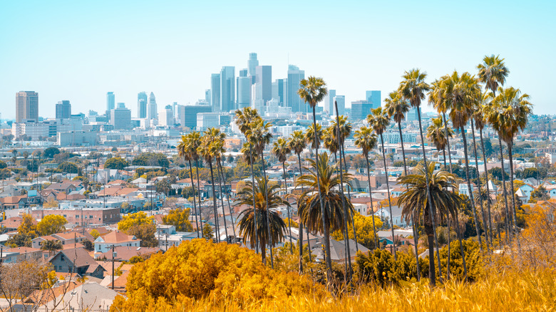Vue panoramique de la ville de Los Angeles, en Californie, depuis une falaise en direction du centre-ville
