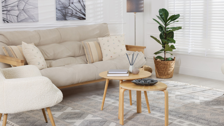 Meubles joliment disposés dans le salon