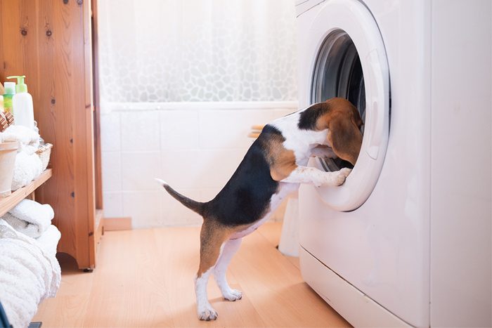 10 améliorations de la buanderie