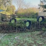 From Fallen Branches to Functional Fencing: Make a DIY Dead Hedge