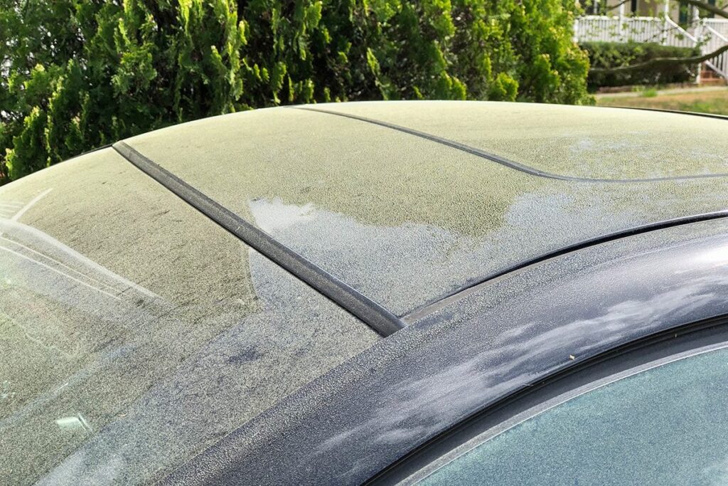 Is Your Car Allergic to Pollen, Too? How to Deal With Pollen On and In Your Car