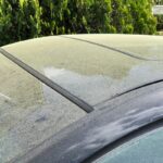 Is Your Car Allergic to Pollen, Too? How to Deal With Pollen On and In Your Car