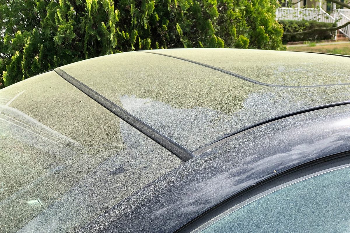 Is Your Car Allergic to Pollen, Too? How to Deal With Pollen On and In Your Car