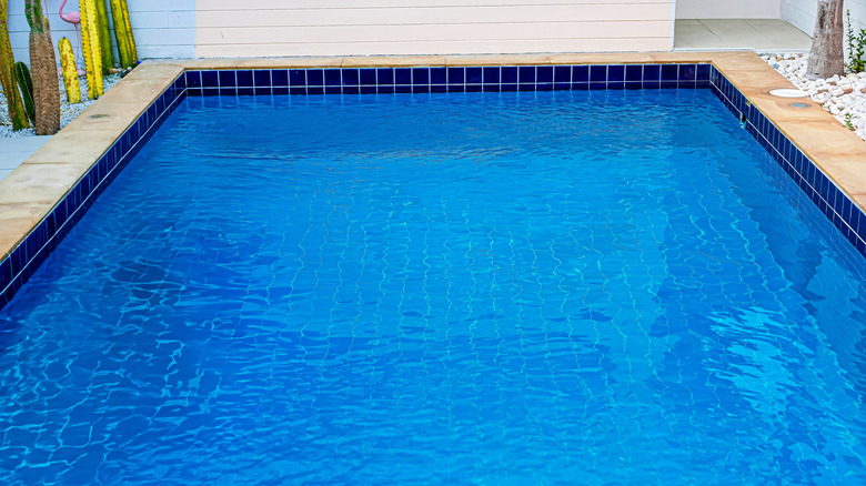 Une piscine d'eau salée dans le jardin d'une maison