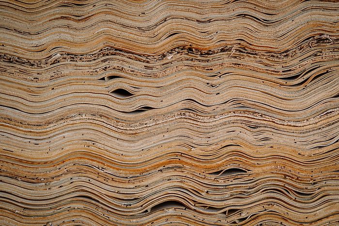 Gros plan de feuilles de placage empilées avec des textures ondulées naturelles et des lignes organiques, montrant des motifs complexes et un grain fin dans un environnement de travail du bois.
