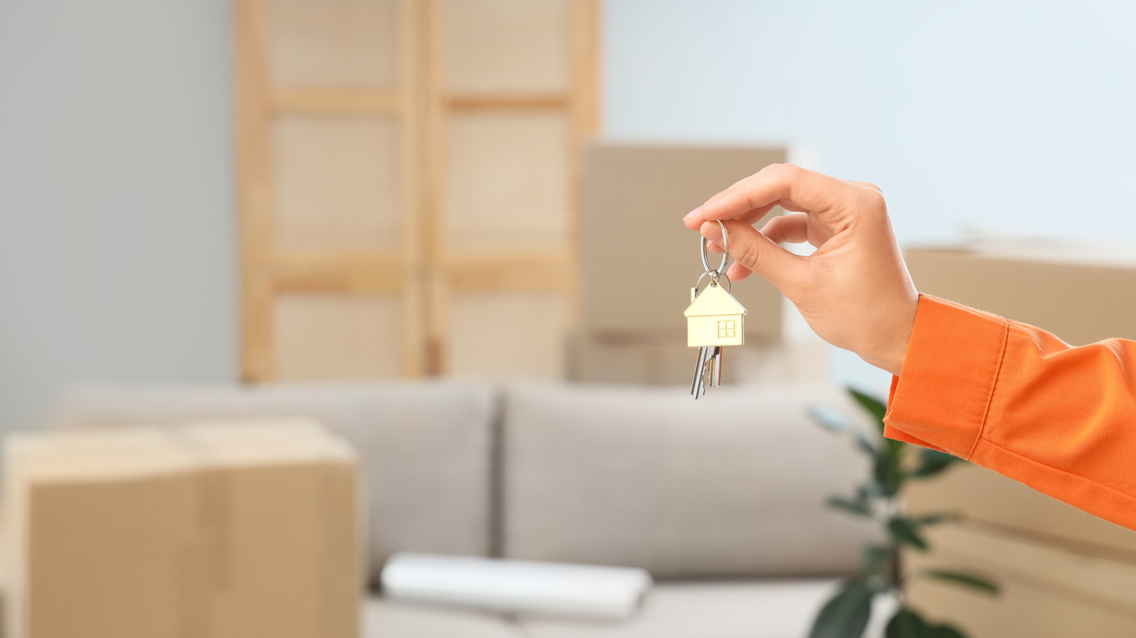 Soyez simplement heureux de ne pas avoir à louer un appartement à la hollandaise