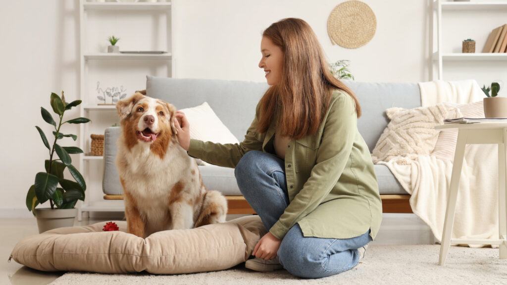 Pourquoi l’assurance habitation pose-t-elle des questions sur les chiens ?