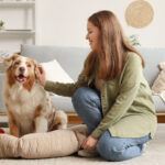 Pourquoi l’assurance habitation pose-t-elle des questions sur les chiens ?