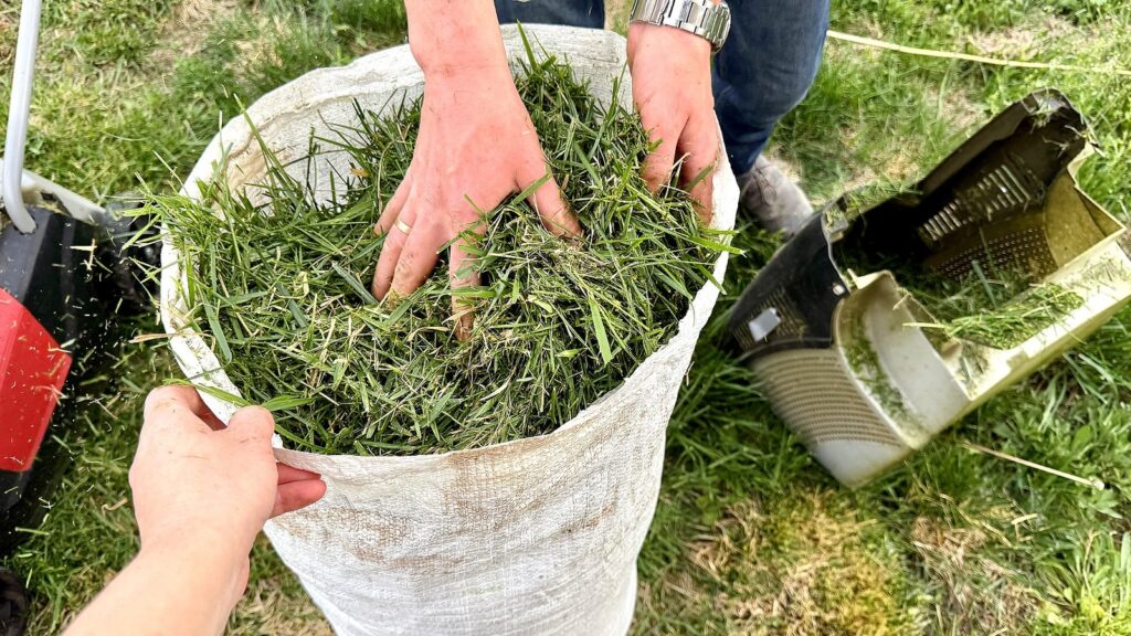 Est-il sécuritaire d’utiliser l’herbe coupée des pelouses traitées dans les plates-bandes ?