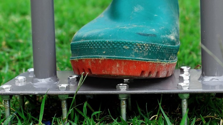 Un gros plan d'un aérateur de pelouse poussé dans le sol par une botte